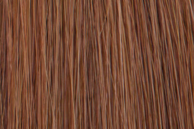 Chestnut